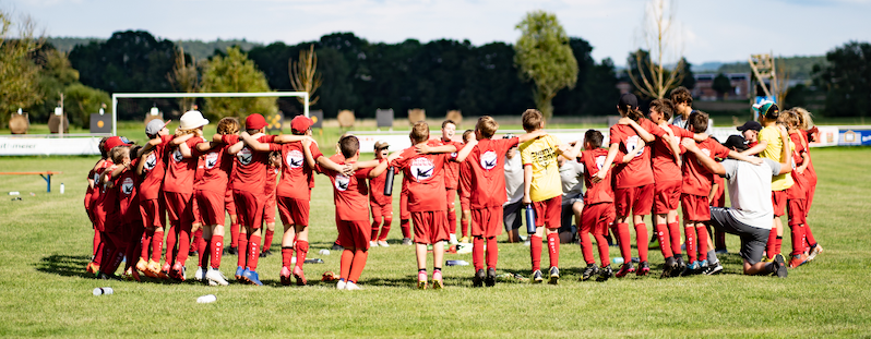 Hansi Dorfner Header klein